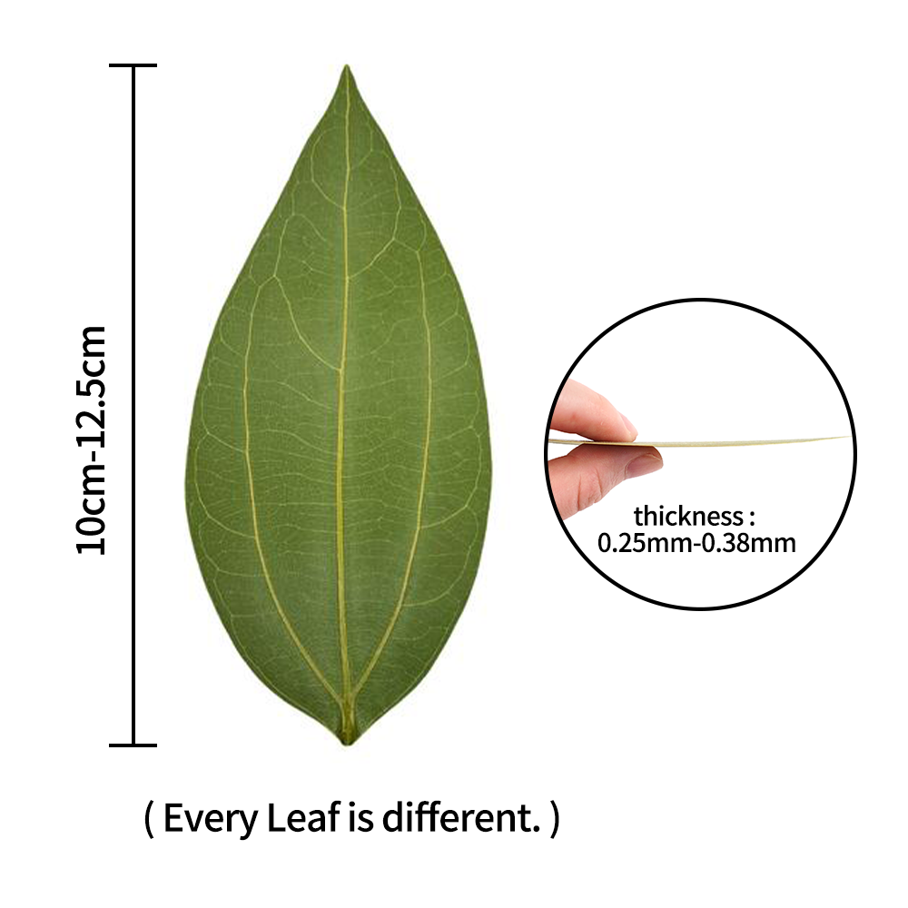 DIY Leaves for Laser Engraving - огляд і ціна Industrial Laser Cutting Machine